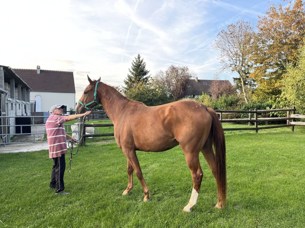 Centre équestre de la Ferté-Sous-Jouarre (7)