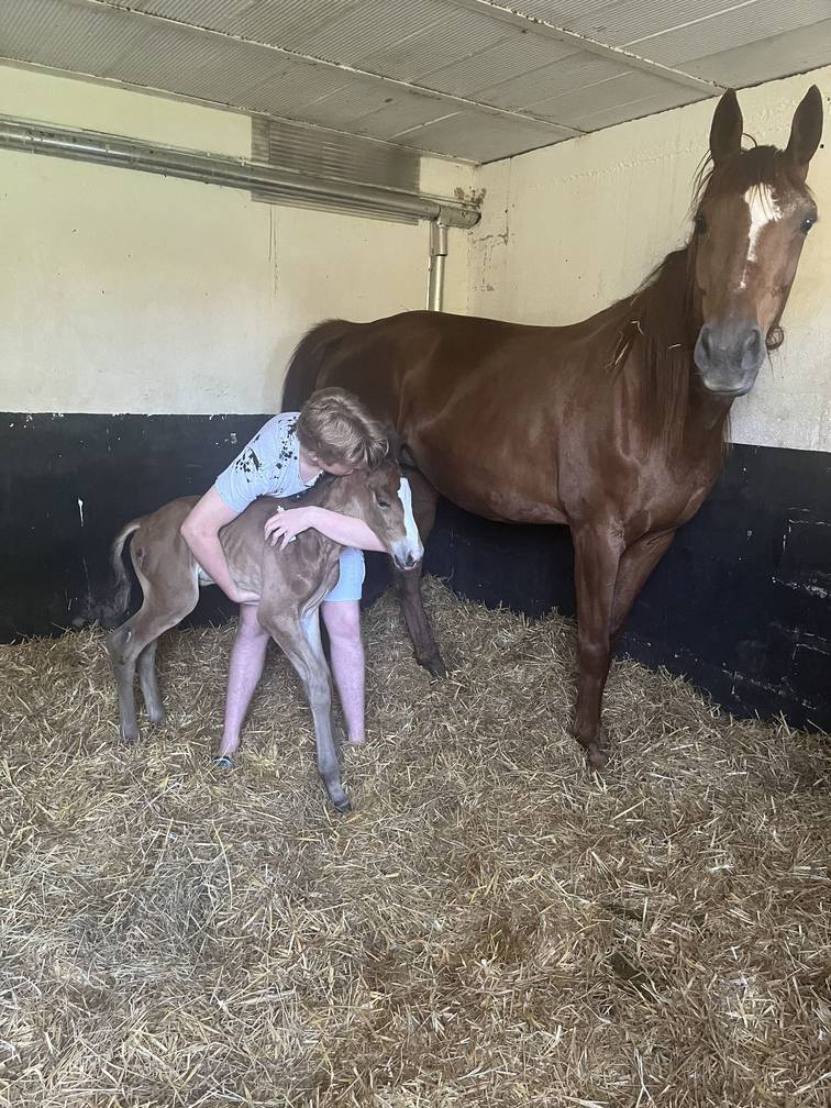 Centre équestre de la Ferté-Sous-Jouarre (3)